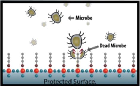 Anti-Microbial Coating